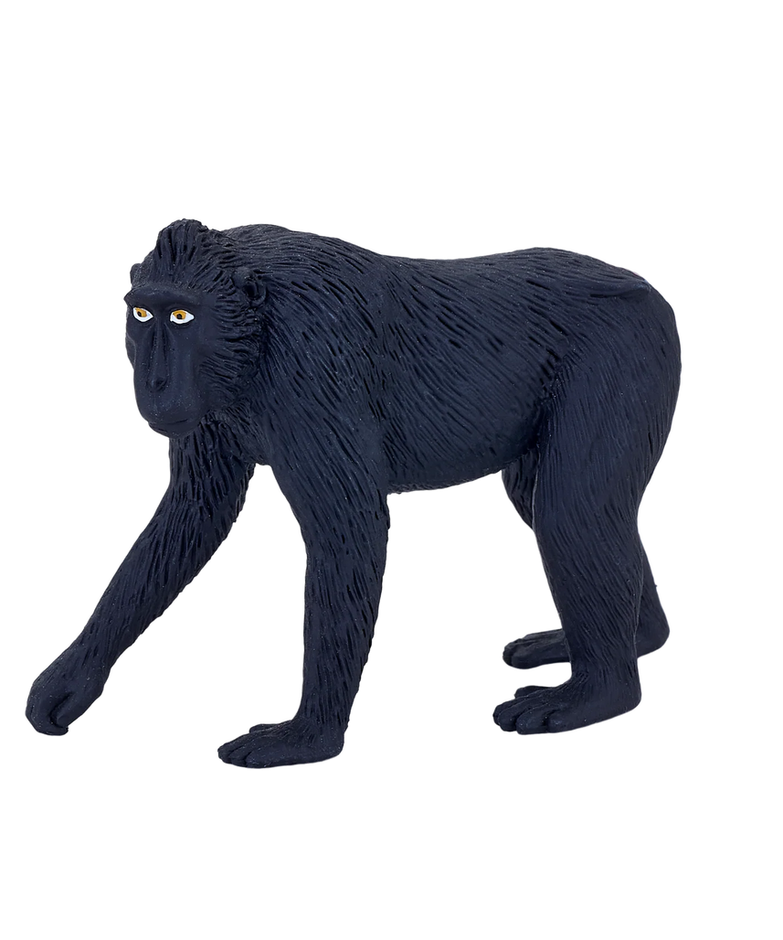 Black Crested Macaque Medium Animal Figure Toy, Realistic Jungle Wildlife Collectible for Kids