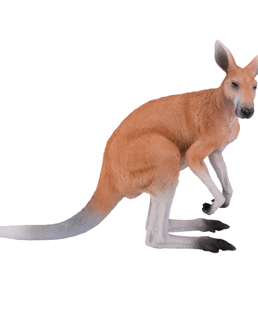 Mojo Kangaroo Large Animal Figure Toy, Realistic Australian Wildlife Collectible for Kids