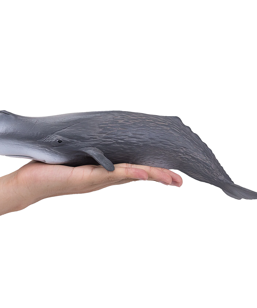 Mojo Sperm Whale Deluxe II Animal Figure Toy, Realistic Ocean Wildlife Collectible for Kids