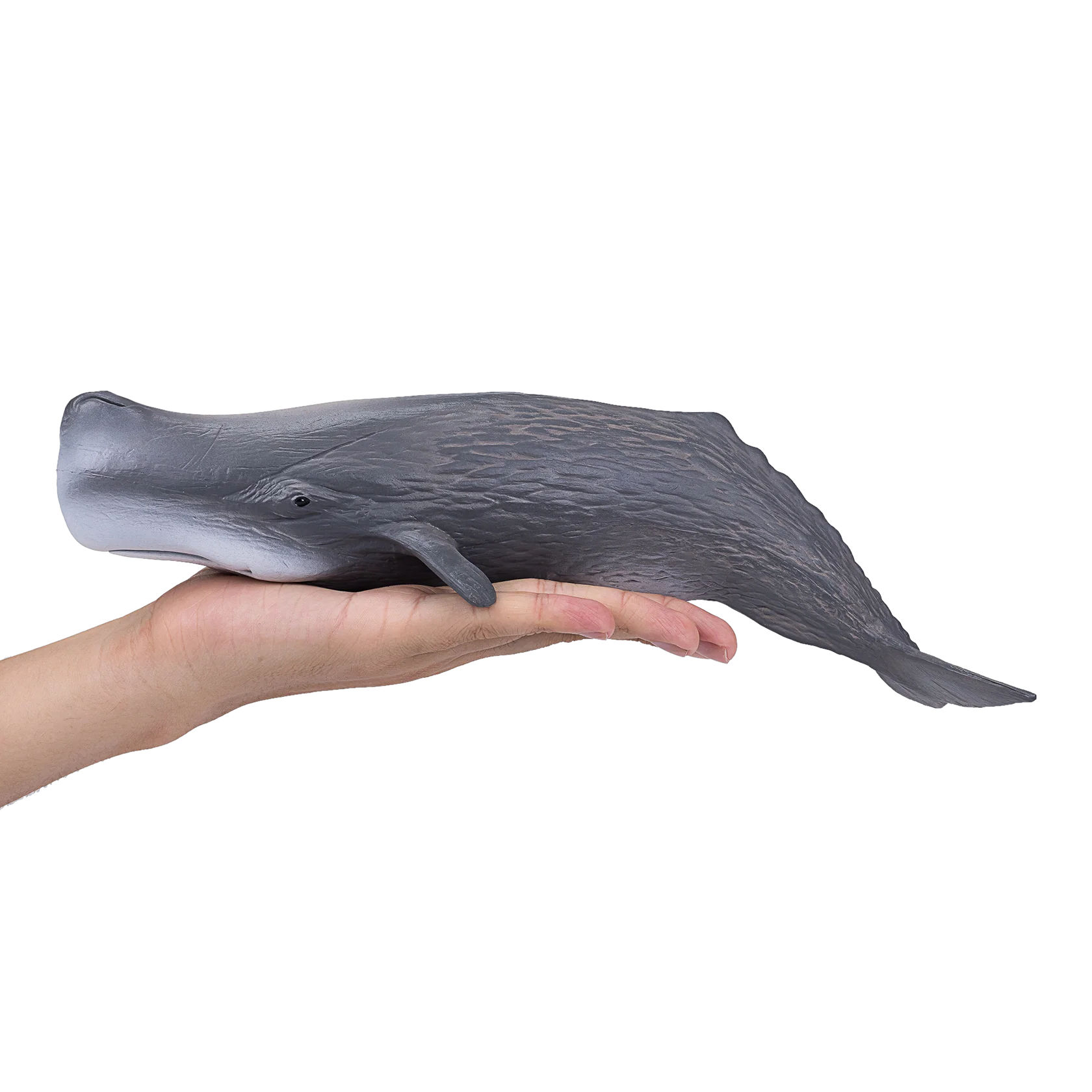 Mojo Sperm Whale Deluxe II Animal Figure Toy, Realistic Ocean Wildlife Collectible for Kids