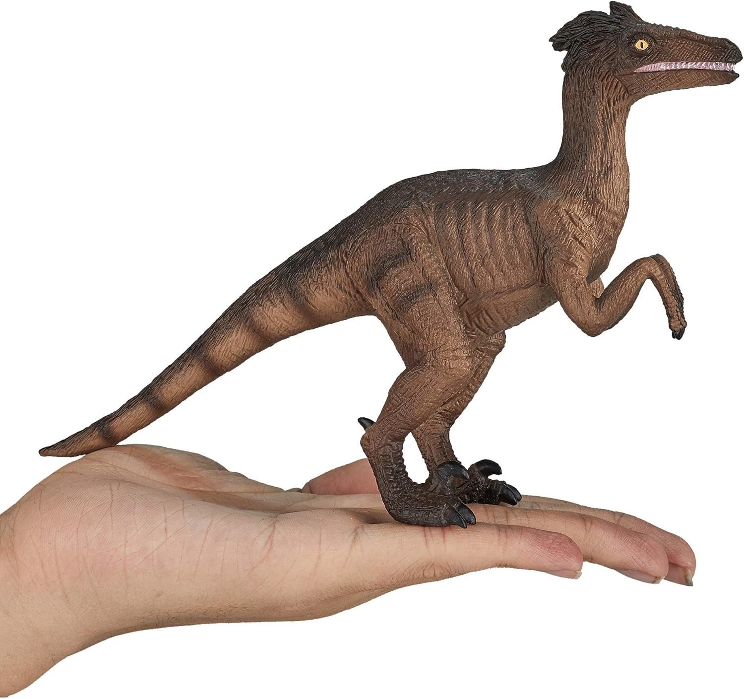 Velociraptor XXL Dinosaur Figure Toy, Realistic Prehistoric Collectible for Kids