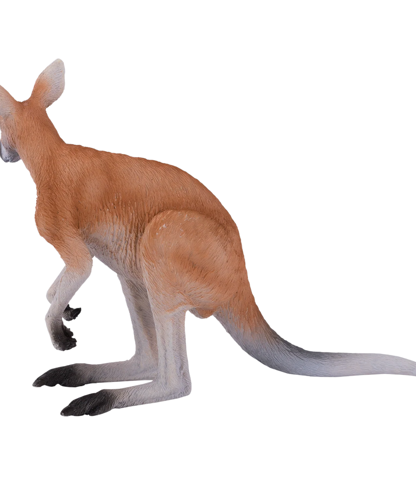 Mojo Kangaroo Large Animal Figure Toy, Realistic Australian Wildlife Collectible for Kids