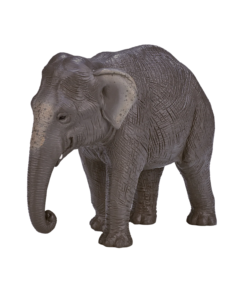 Mojo Asian Elephant XL Animal Figure Toy, Realistic Safari Wildlife Collectible for Kids