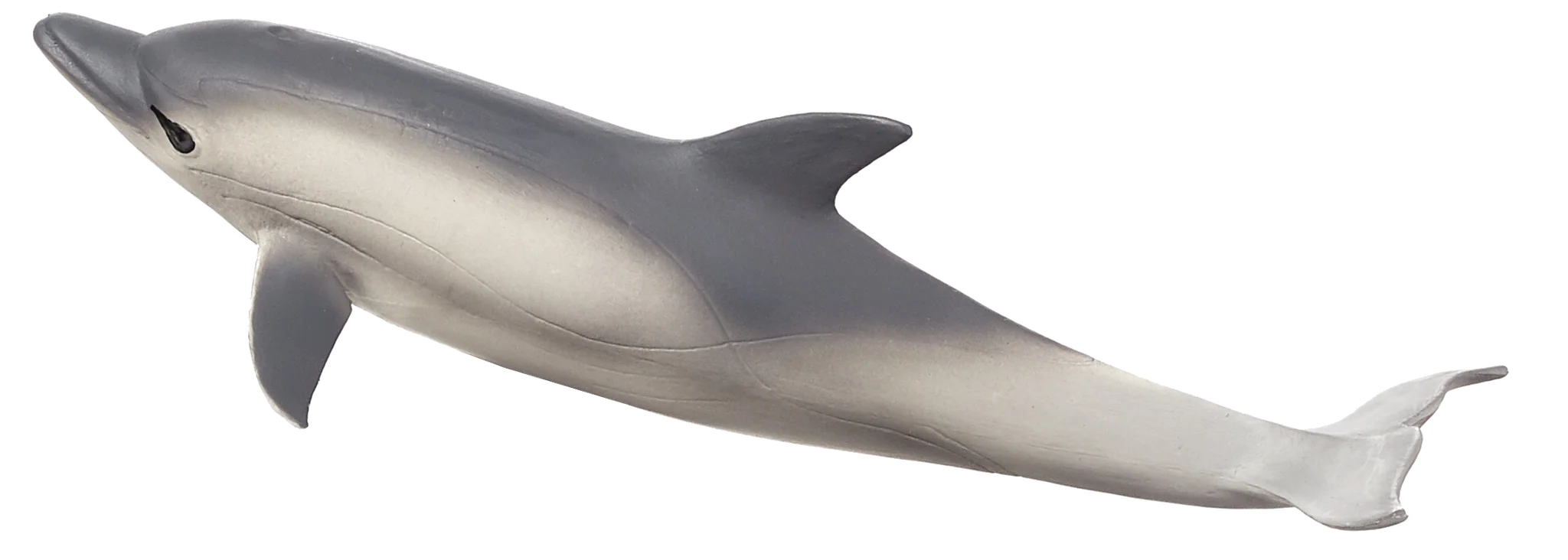 Mojo Common Dolphin Large Animal Figure Toy, Realistic Sea Life Collectible for Kids