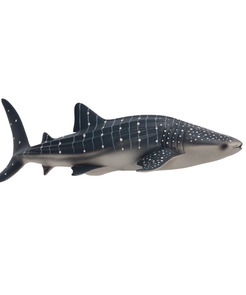 Mojo Whale Shark Deluxe I Animal Figure Toy, Realistic Ocean Wildlife Collectible for Kids