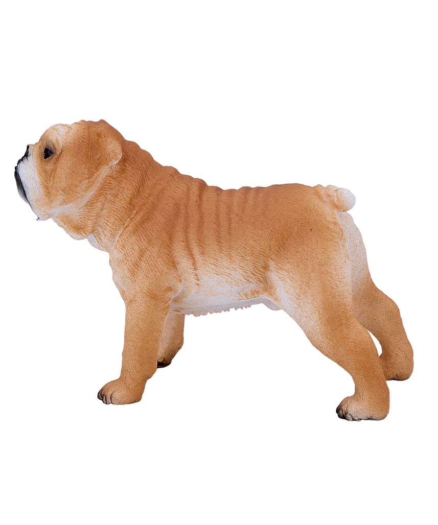 Mojo English Bulldog Medium Animal Figure Toy, Lifelike Dog Collectible for Kids and Dog Lovers