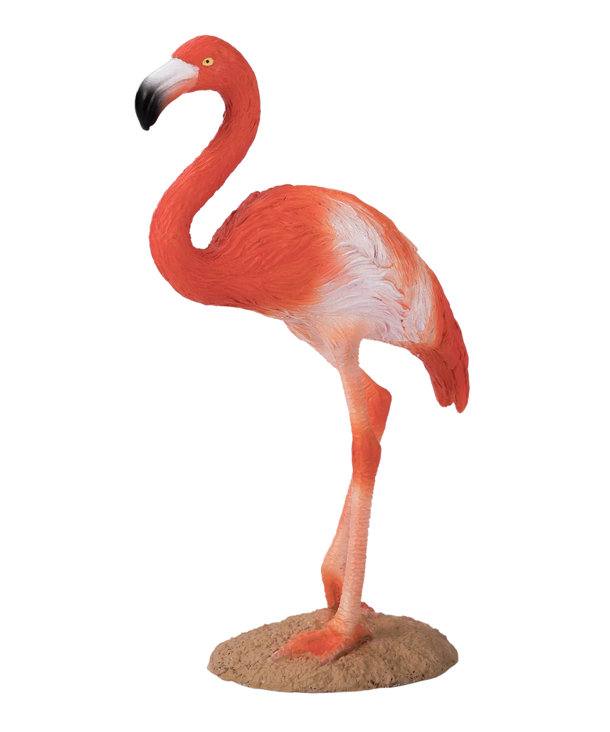 Mojo American Flamingo Medium Animal Figure Toy, Realistic Bird Collectible for Kids