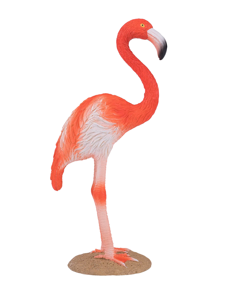 Mojo American Flamingo Medium Animal Figure Toy, Realistic Bird Collectible for Kids
