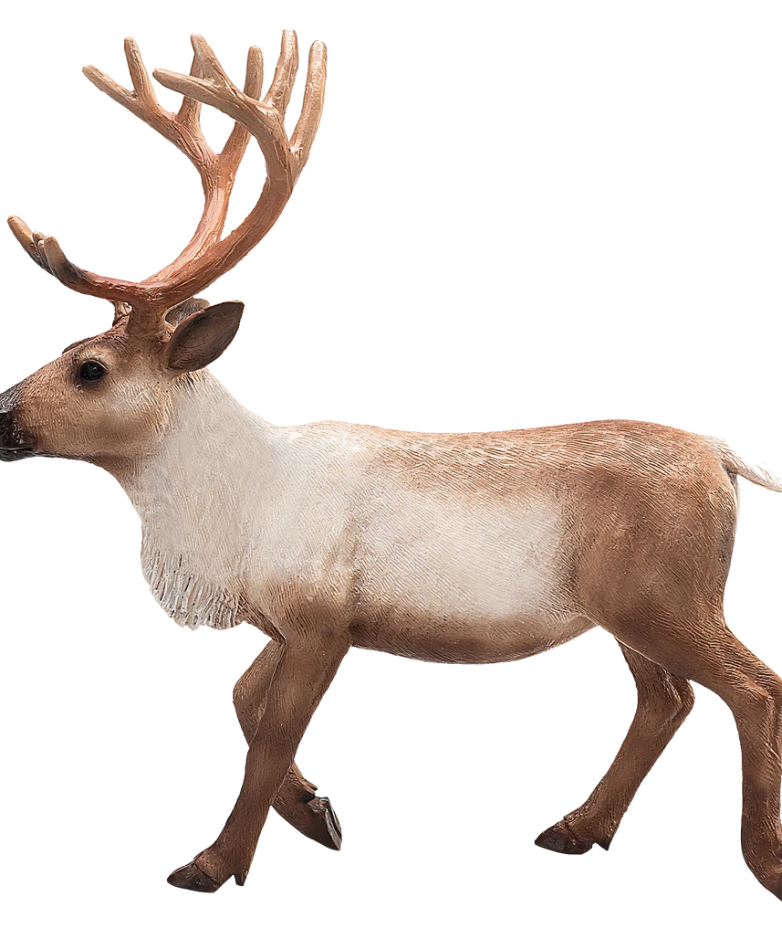 Mojo Reindeer XL Animal Figure Toy, Realistic Arctic Wildlife Collectible for Kids