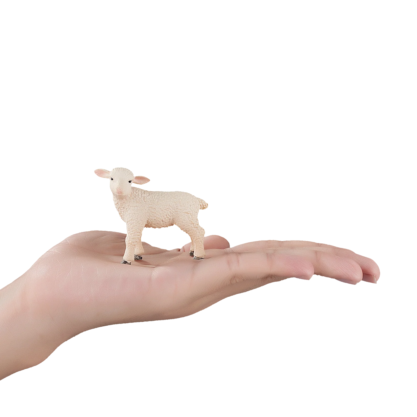 Mojo Lamb Standing Small Animal Figure Toy, Realistic Farm Collectible for Boys and Girls