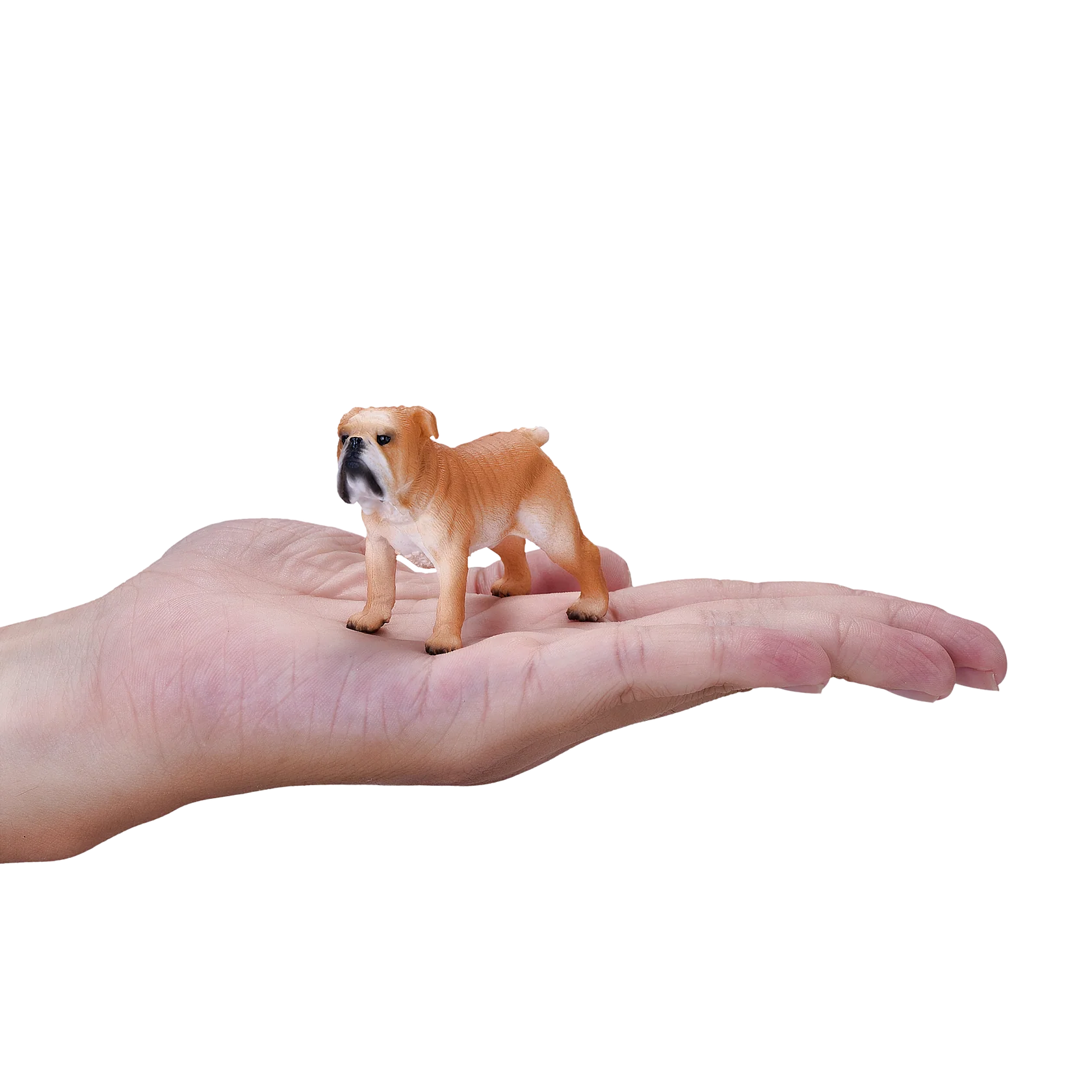 Mojo English Bulldog Medium Animal Figure Toy, Lifelike Dog Collectible for Kids and Dog Lovers