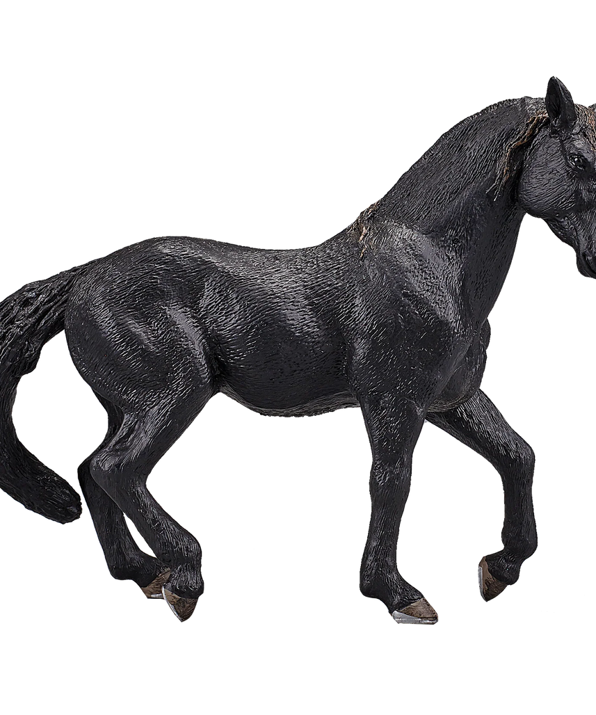 Mojo Andalusian Stallion Black XL Animal Figure Toy, Realistic Horse Collectible for Kids
