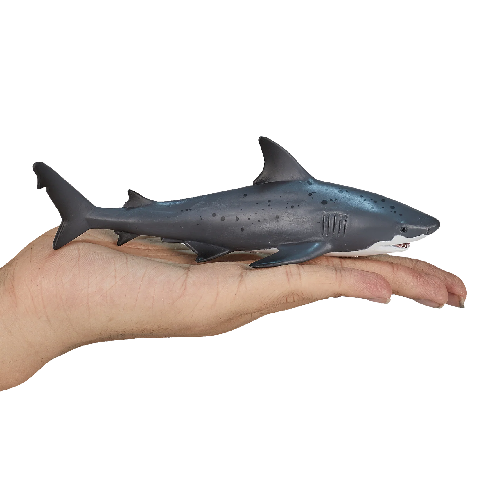 Mojo Bull Shark XL Animal Figure Toy, Realistic Ocean Predator Collectible for Kids