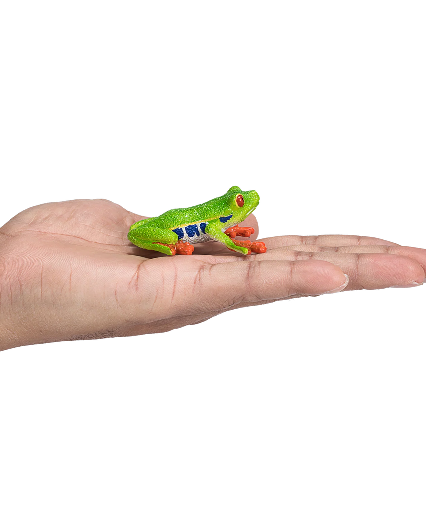 Mojo Red Eyed Tree Frog Medium Animal Figure Toy, Realistic Amphibian Collectible for Kids