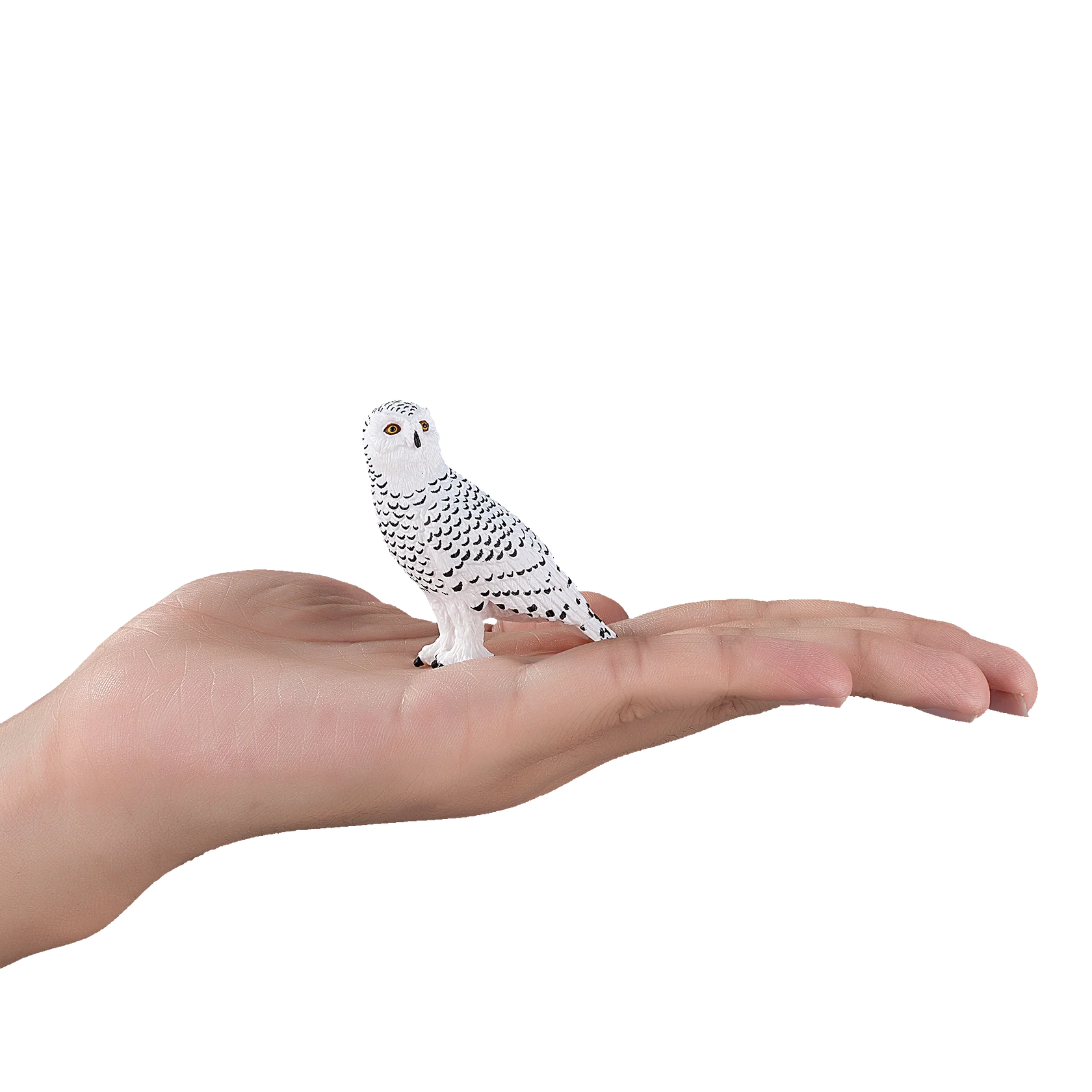 Mojo Snowy Owl Medium Animal Figure Toy, Realistic Arctic Bird Collectible for Kids