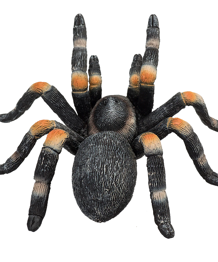 Mojo Red Kneed Tarantula Medium Animal Figure Toy, Realistic Insect Collectible for Kids