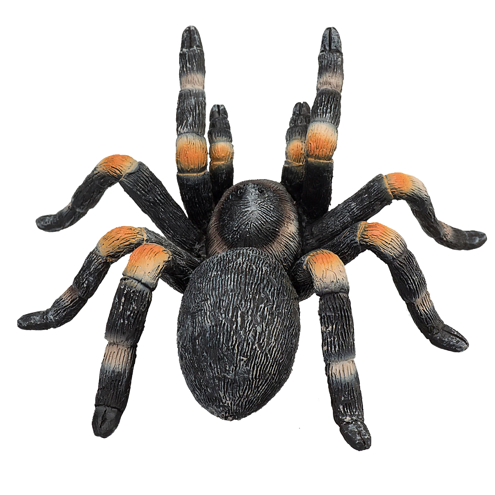 Mojo Red Kneed Tarantula Medium Animal Figure Toy, Realistic Insect Collectible for Kids