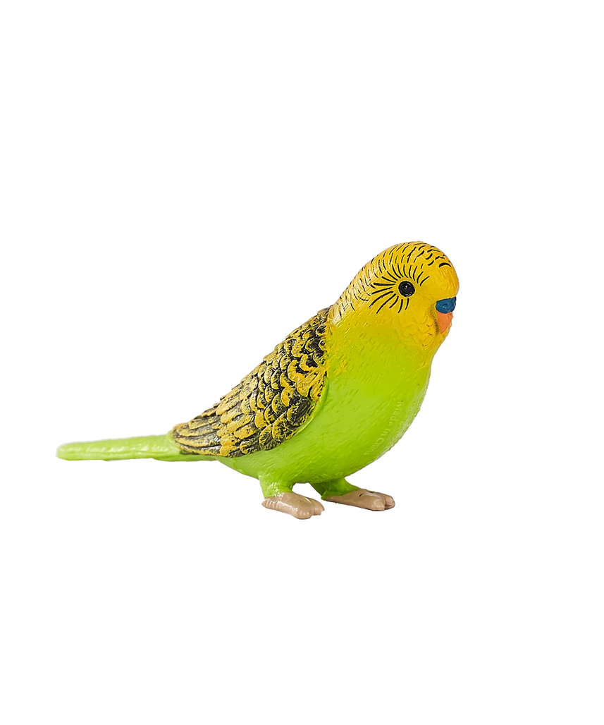 Mojo Budgerigar Green Small Animal Figure Toy, Realistic Bird Collectible for Kids and Nature Lovers