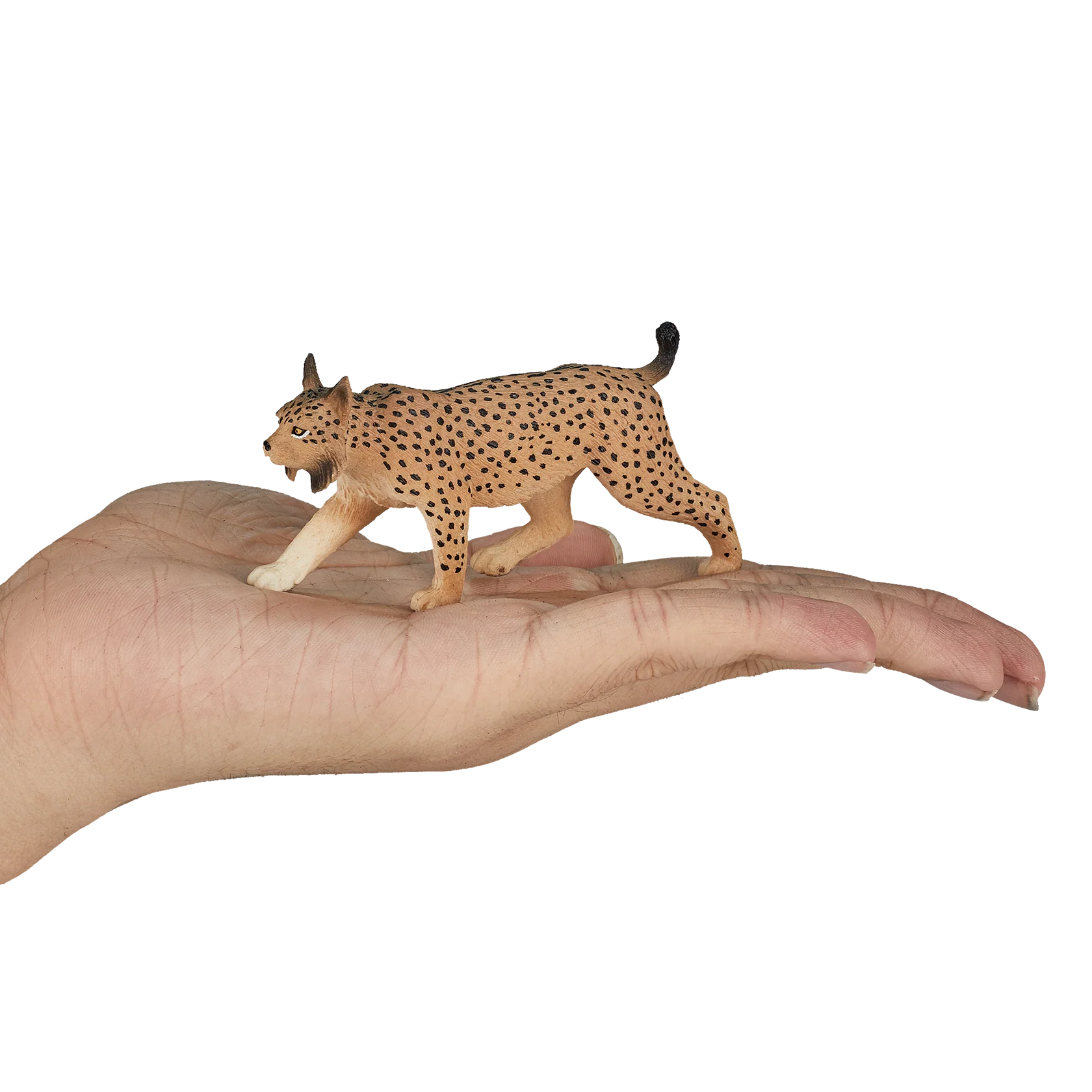 Mojo Iberian Lynx Medium Animal Figure Toy, Realistic Wild Cat Collectible for Kids