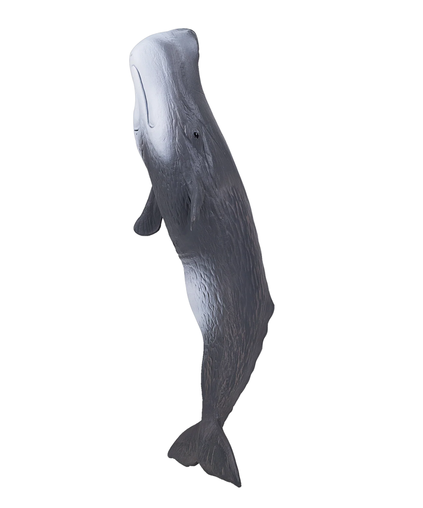 Mojo Sperm Whale Deluxe II Animal Figure Toy, Realistic Ocean Wildlife Collectible for Kids