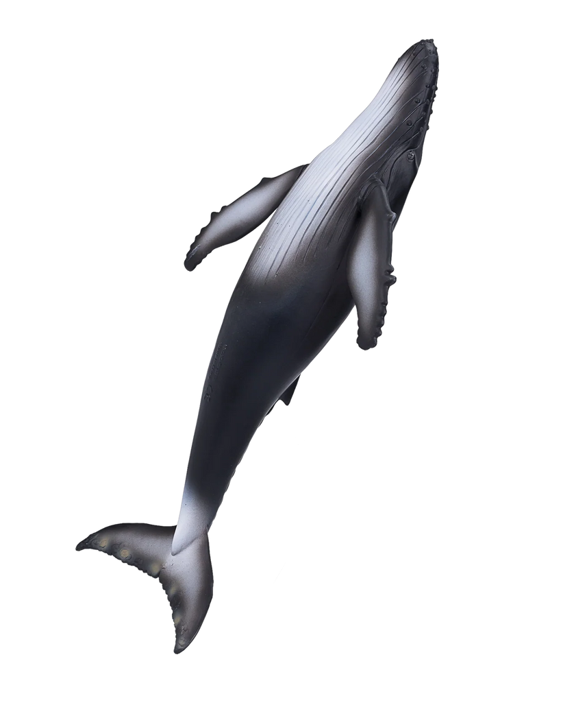 Mojo Humpback Whale Deluxe I Animal Figure Toy, Realistic Ocean Wildlife Collectible for Kids
