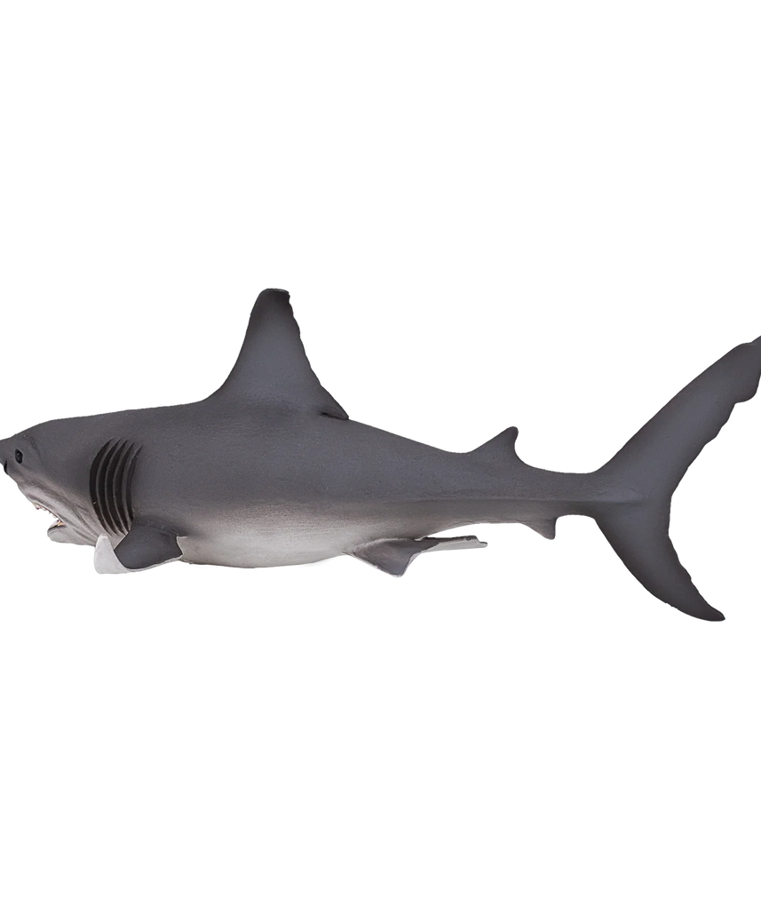 Mojo White Shark Deluxe I Animal Figure Toy, Realistic Ocean Predator Collectible for Kids