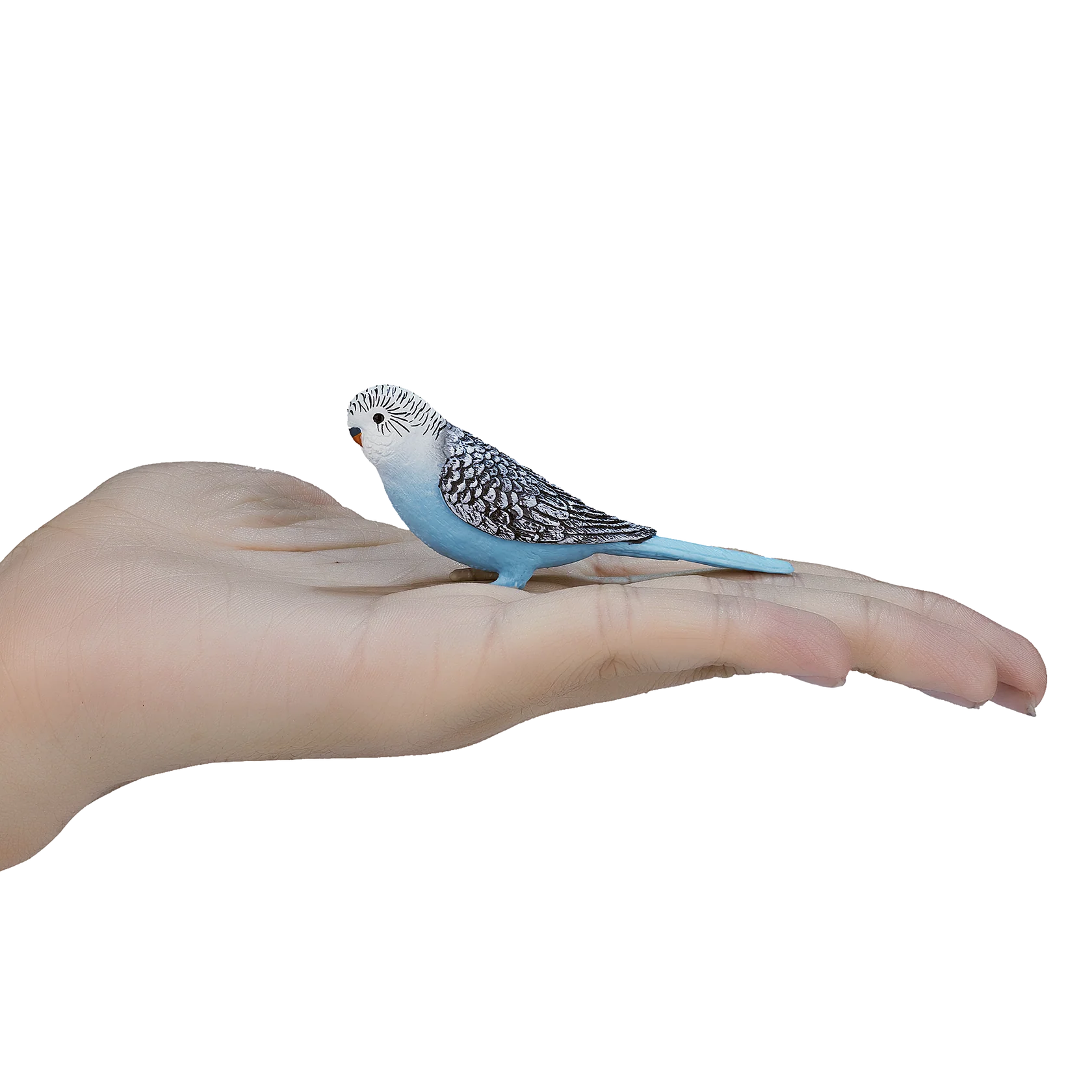 Mojo Budgerigar Blue Small Animal Figure Toy, Lifelike Bird Collectible for Kids