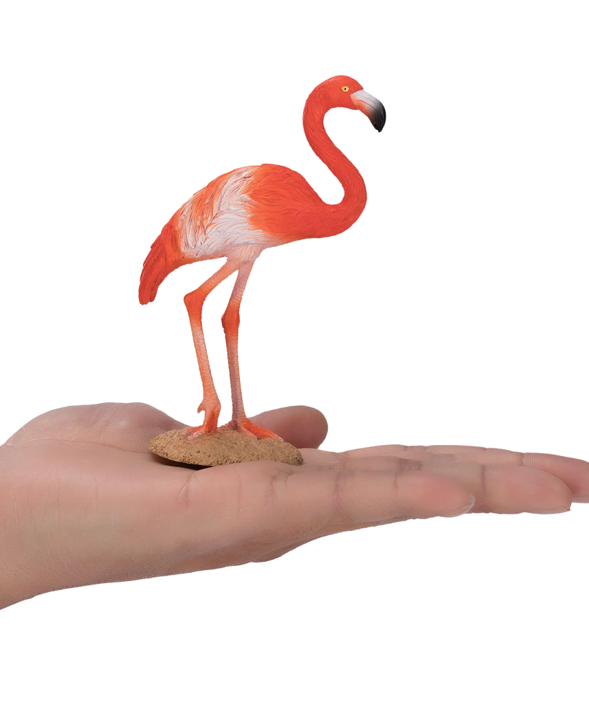 Mojo American Flamingo Medium Animal Figure Toy, Realistic Bird Collectible for Kids