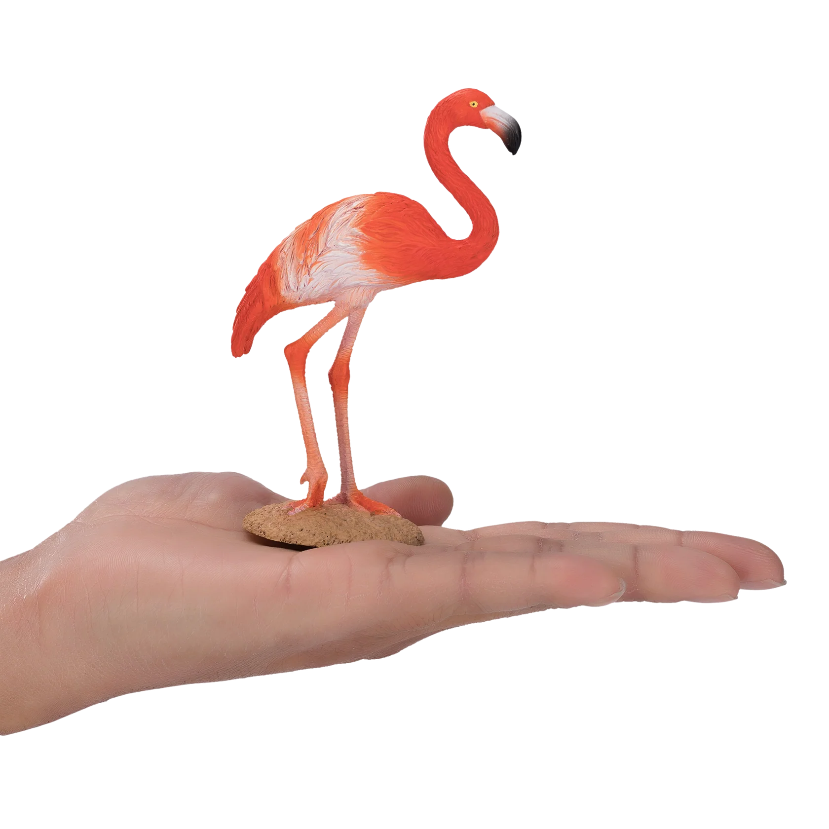 Mojo American Flamingo Medium Animal Figure Toy, Realistic Bird Collectible for Kids