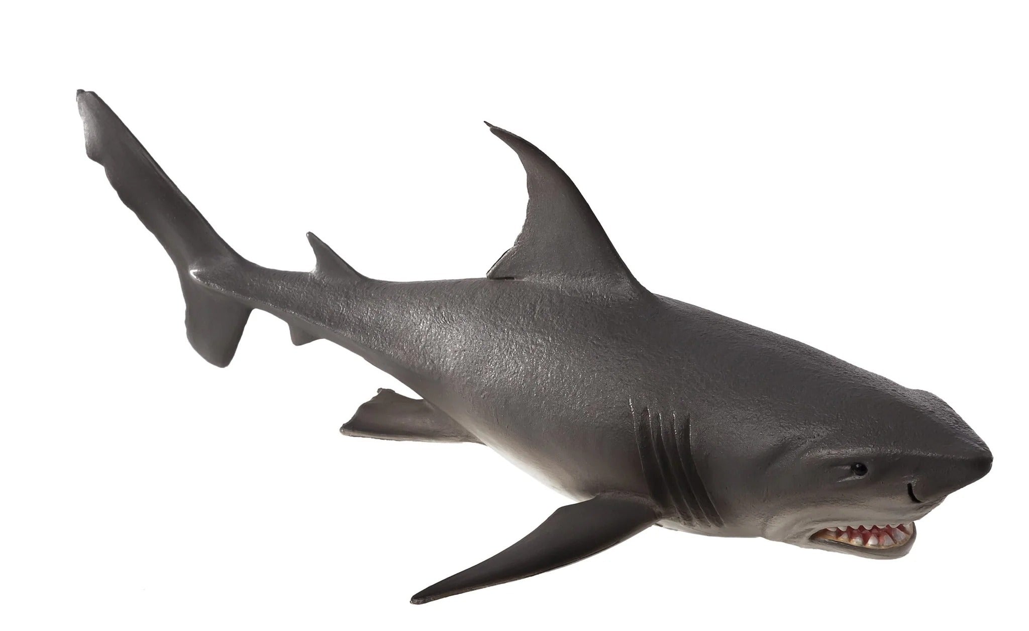 Mojo White Shark Deluxe I Animal Figure Toy, Realistic Ocean Predator Collectible for Kids