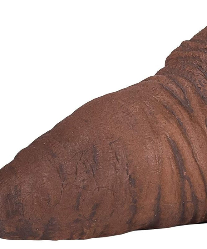 Walrus XXL Animal Figure Toy, Realistic Arctic Wildlife Collectible for Kids