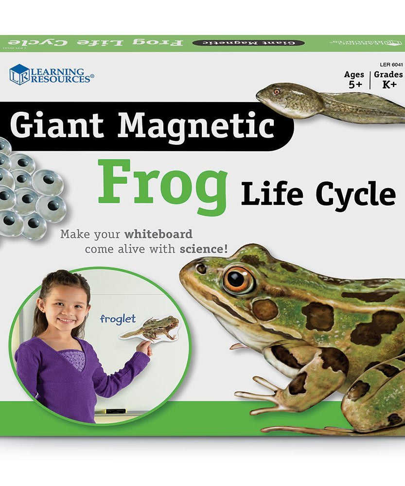 Learning Resources Giant Magnetic Frog Life Cycle, Jumbo Educational Magnets for Science Learning, Interactive STEM Resource, Ages 5+