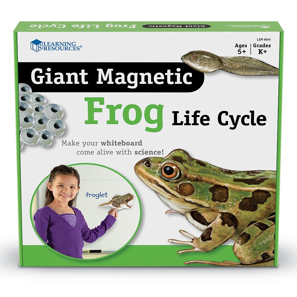 Learning Resources Giant Magnetic Frog Life Cycle, Jumbo Educational Magnets for Science Learning, Interactive STEM Resource, Ages 5+