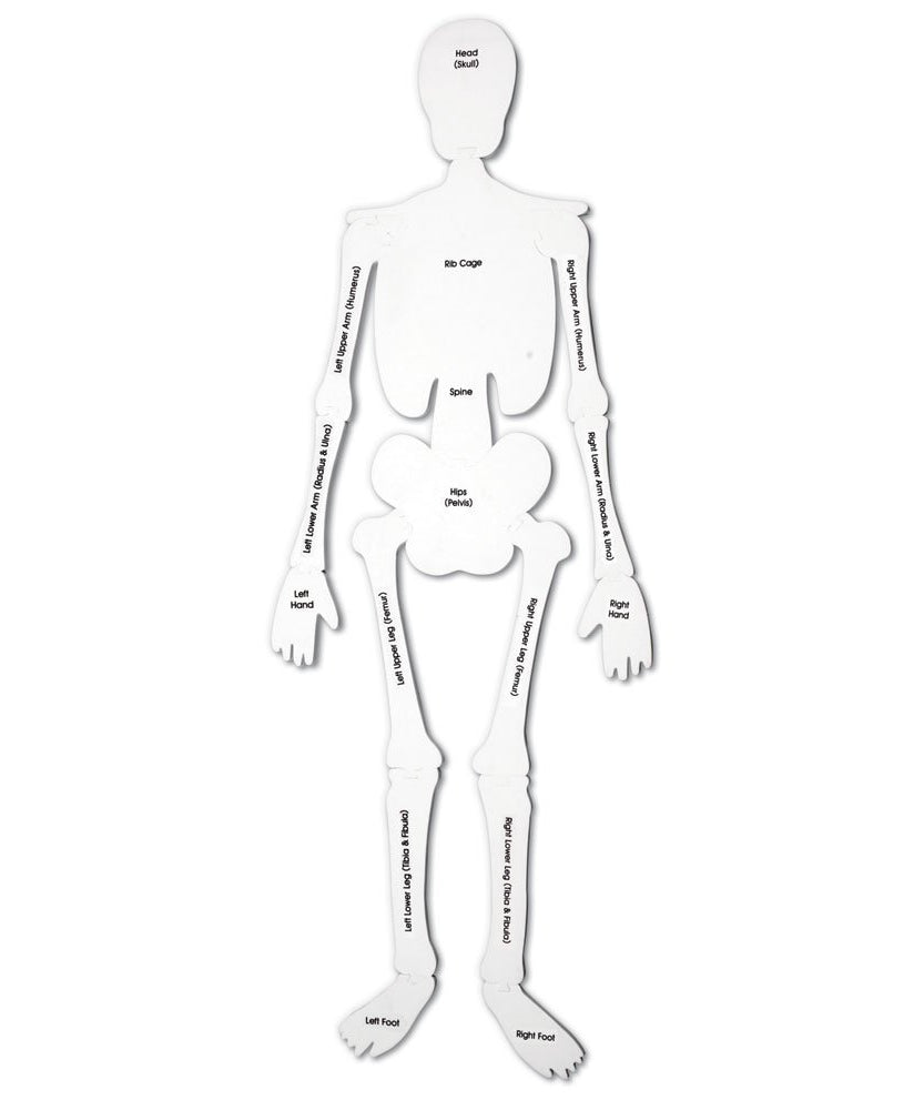 أحجية هيكل عظمي من Learning Resources، لعبة تعليمية لجسم الإنسان بطول 122 سم للأطفال، 15 قطعة من الإسفنج الناعم مع أسماء العظام على الوجه الآخر، أحجية تشريح تعليمية للأطفال في المراحل المبكرة
