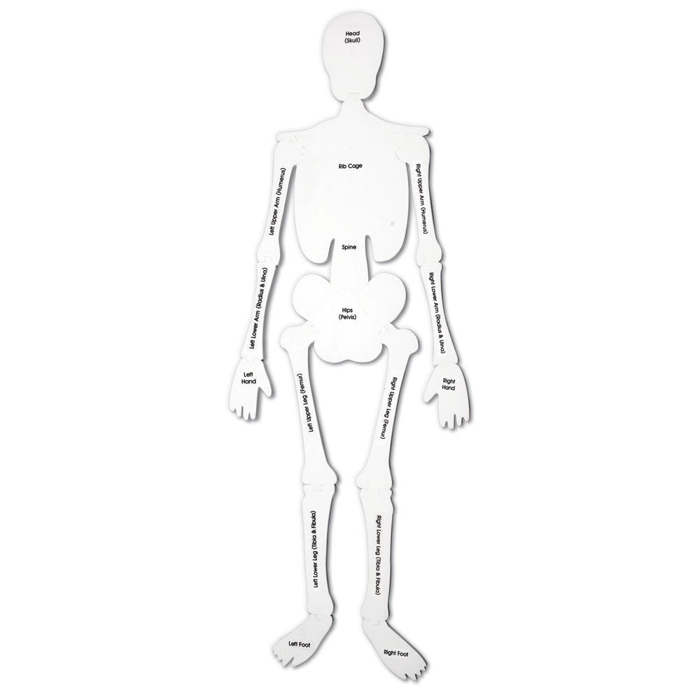 أحجية هيكل عظمي من Learning Resources، لعبة تعليمية لجسم الإنسان بطول 122 سم للأطفال، 15 قطعة من الإسفنج الناعم مع أسماء العظام على الوجه الآخر، أحجية تشريح تعليمية للأطفال في المراحل المبكرة