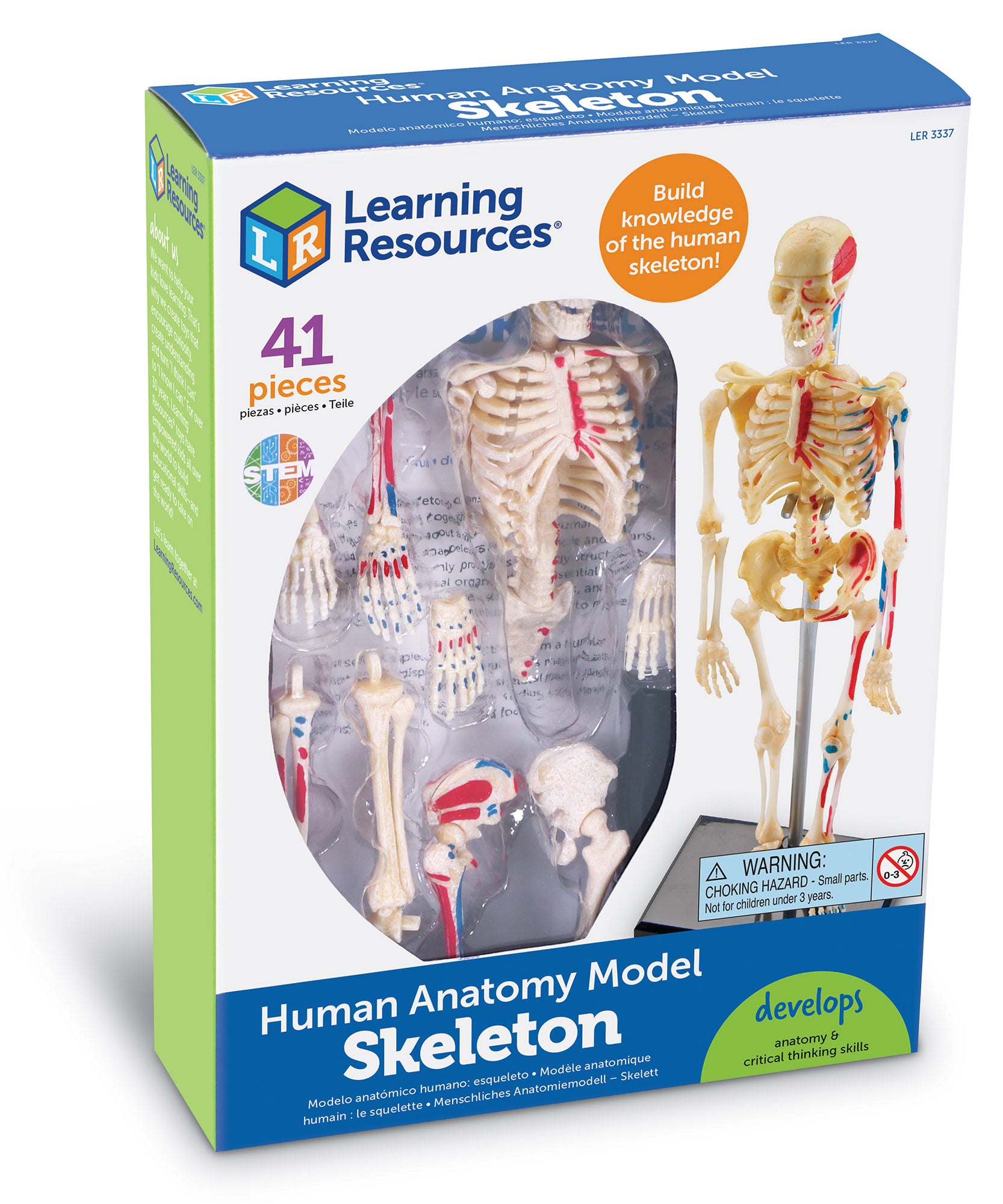 نموذج تشريح الهيكل العظمي من Learning Resources، عرض هيكل عظمي بشري مع نظام الدورة الدموية، نموذج تعليمي للأطفال من سن 8 سنوات فما فوق