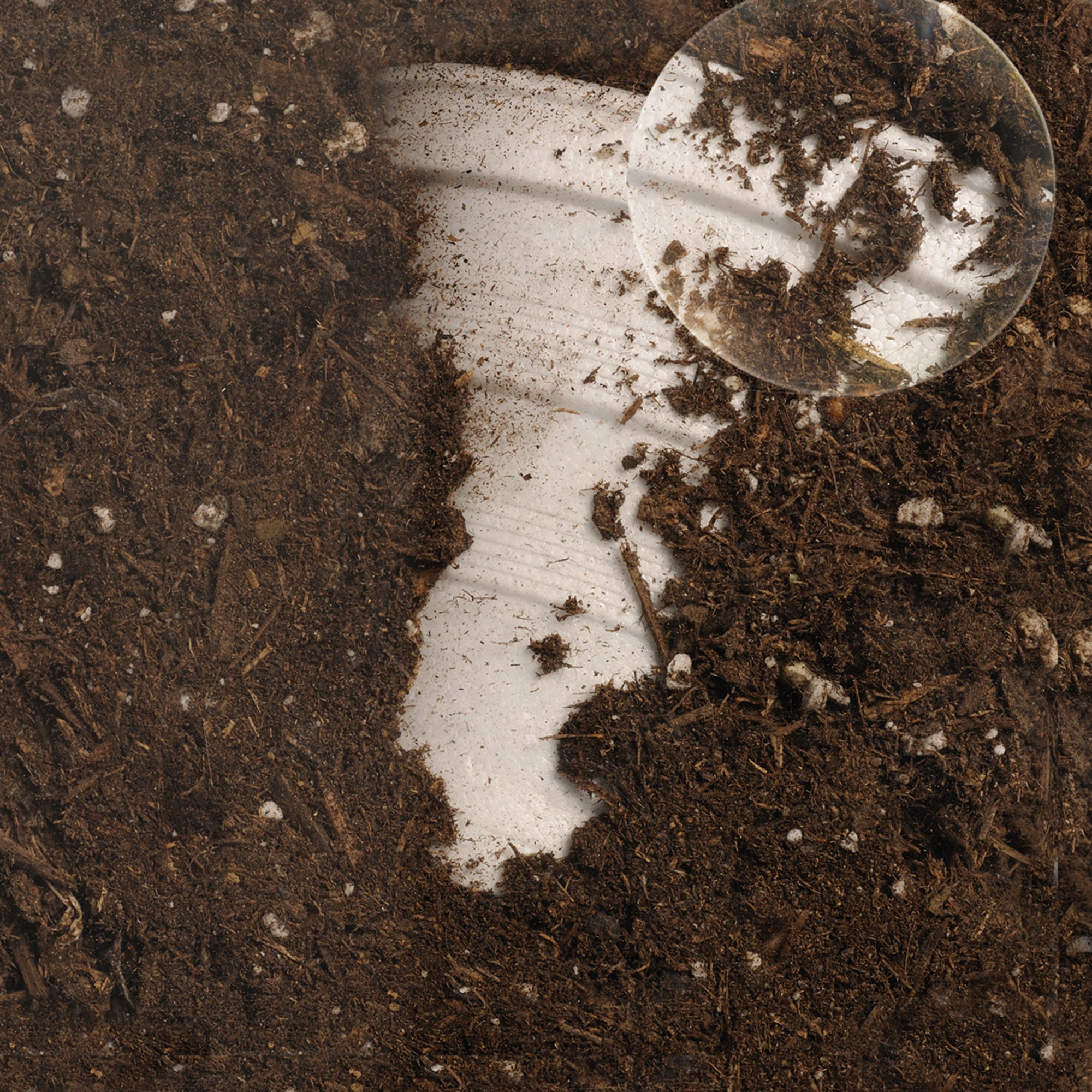 مصادر التعلم: حاوية السماد العضوي، مجموعة تعليمية تفاعلية للتحلل، مورد تعليمي في مجالات العلوم والتكنولوجيا والهندسة والرياضيات، للأعمار من 4 سنوات فما فوق