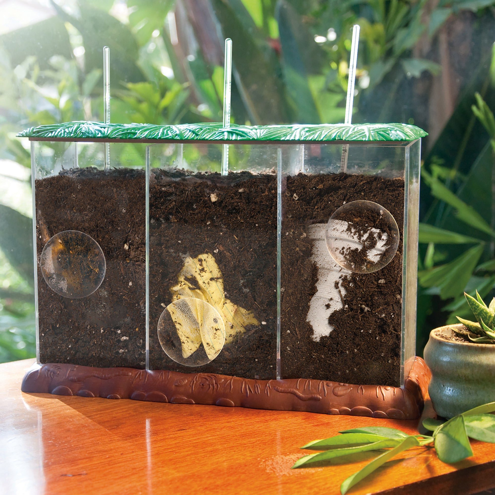 مصادر التعلم: حاوية السماد العضوي، مجموعة تعليمية تفاعلية للتحلل، مورد تعليمي في مجالات العلوم والتكنولوجيا والهندسة والرياضيات، للأعمار من 4 سنوات فما فوق