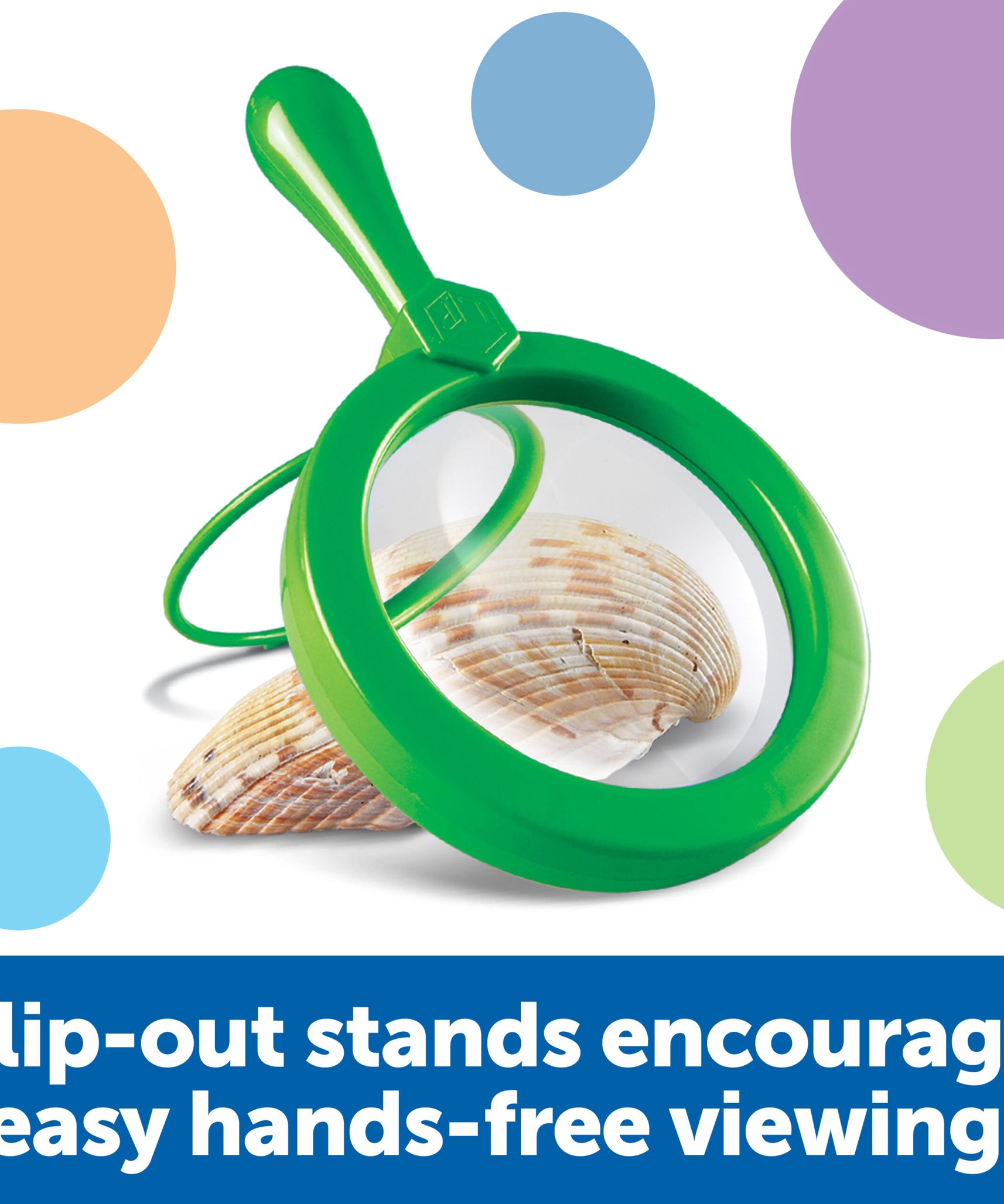 مجموعة من 6 عدسات مكبرة كبيرة للعلوم الأساسية من Learning Resources، تكبير 4.5x، حامل مدمج، مثالية للأيدي الصغيرة، مثالية لدروس علوم الحياة، للأعمار من 3 سنوات فما فوق