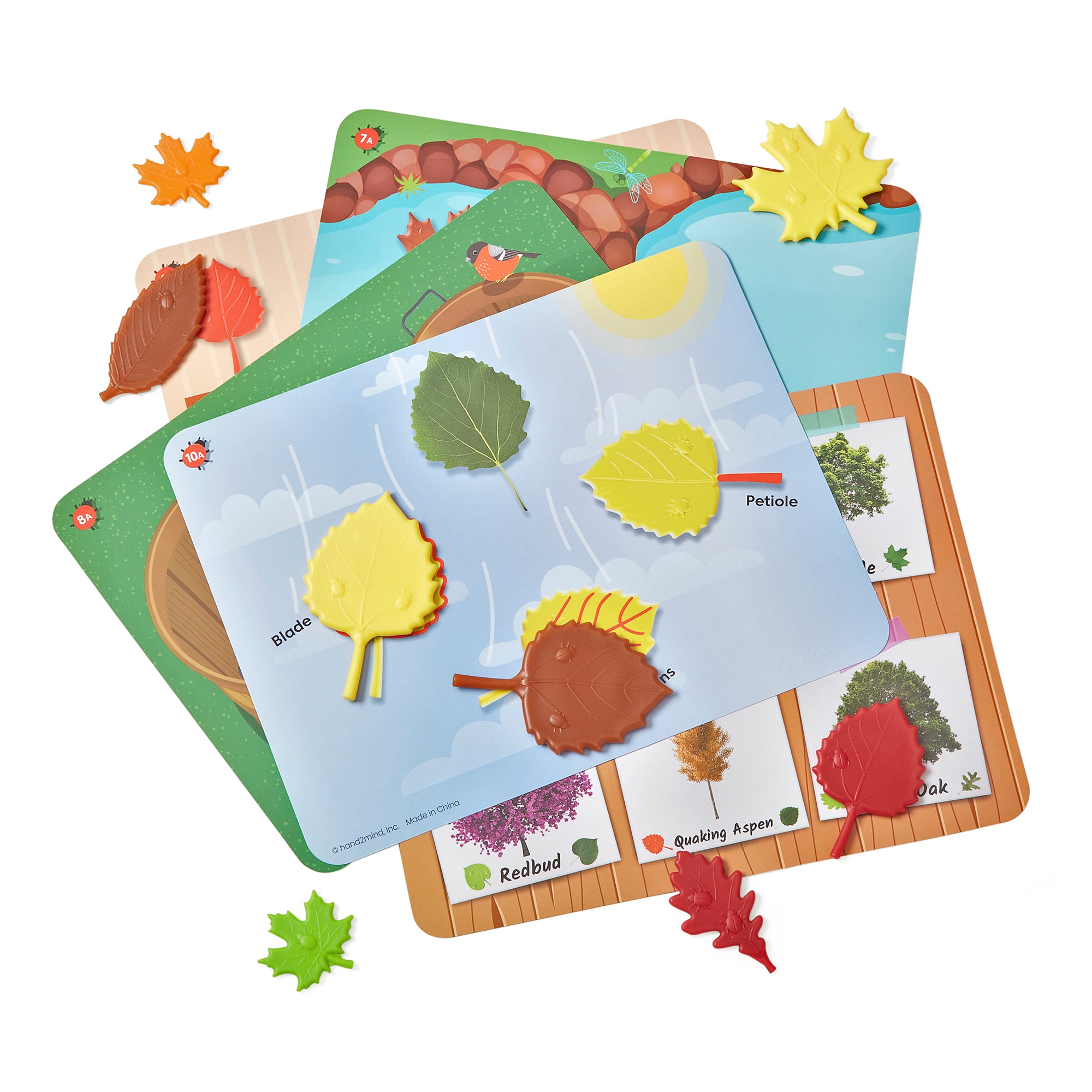 Learning Resources Sensory Leaves Math Activity Set, 36 Leaf-Shaped Counters and 10 Activity Cards, Early Math and Pattern Play, Made from 100 Percent Recycled Plastic, Ages 3+