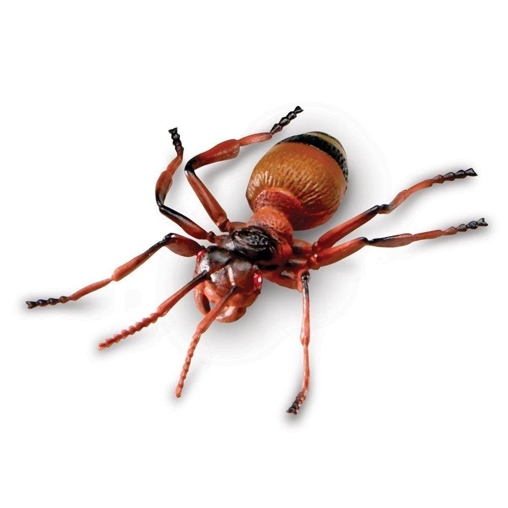 مجموعة ألعاب الحشرات العملاقة من Learning Resources، مكونة من 7 قطع من شخصيات الحشرات الواقعية للأطفال للعب الخيالي والتعلم المبكر