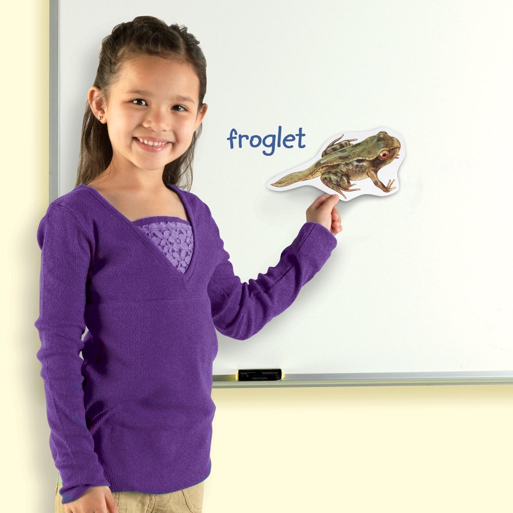 Learning Resources Giant Magnetic Frog Life Cycle, Jumbo Educational Magnets for Science Learning, Interactive STEM Resource, Ages 5+