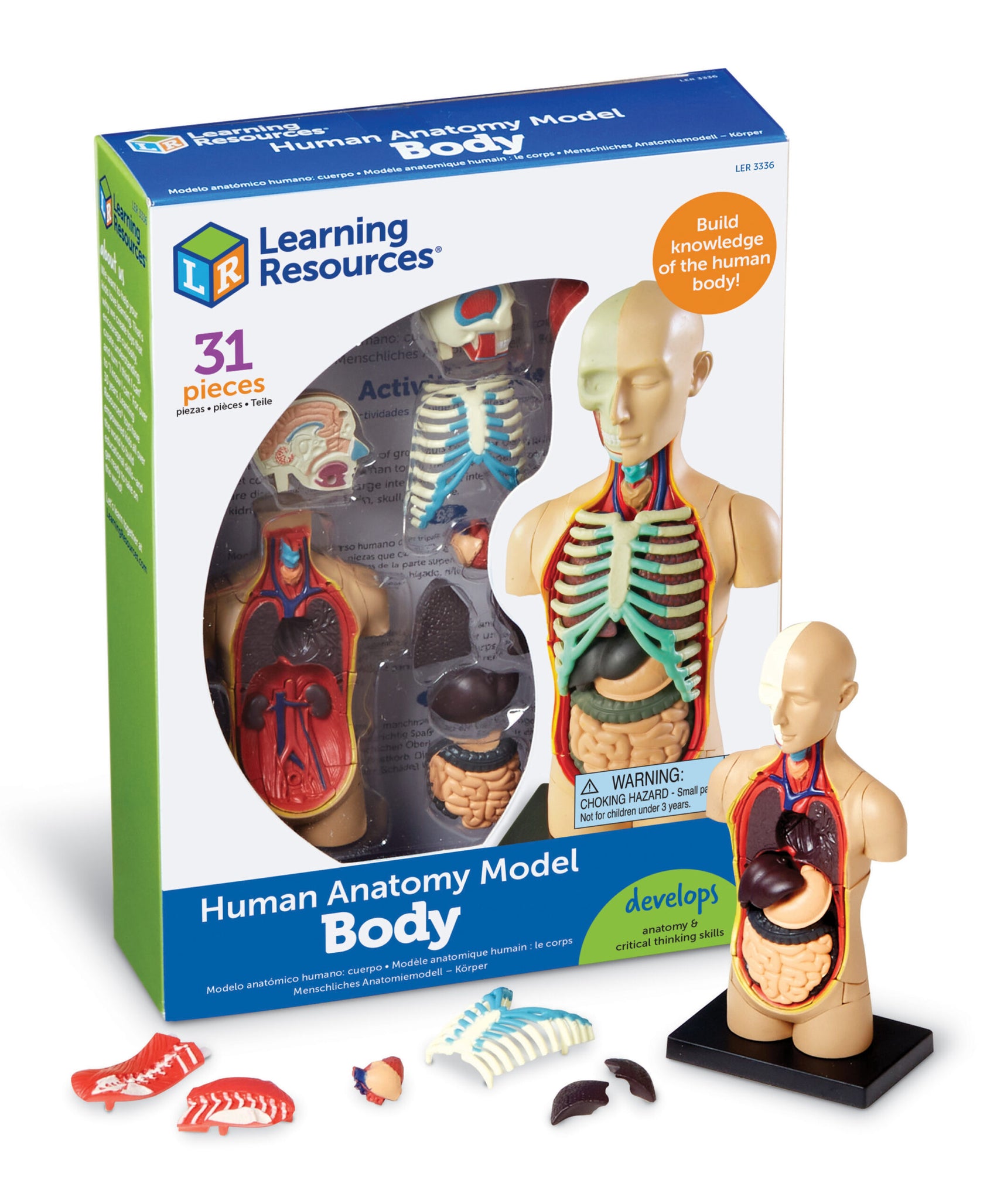 Learning Resources Human Body Anatomy Display Model, 31-Piece Miniature Model for Kids to Explore Body Systems and Organs, Ideal for Ages 8+