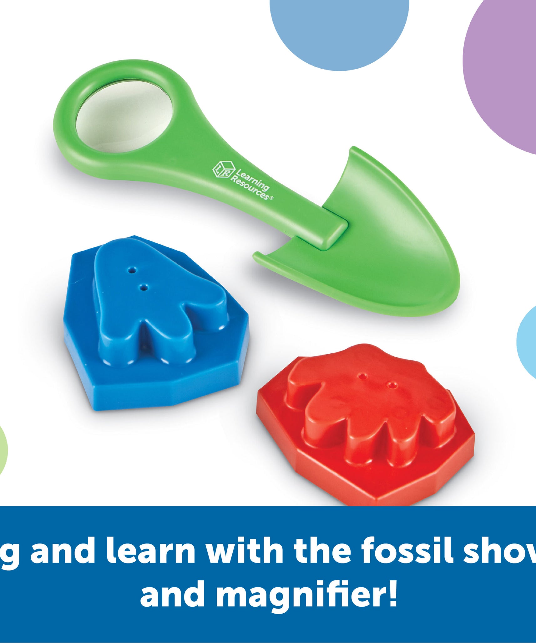 موارد التعلم: بناء المهارات! الديناصورات، مجموعة تعليم الديناصورات لمرحلة ما قبل المدرسة مع أحافير وألغاز وكتاب أنشطة، للأعمار من 4 سنوات فما فوق