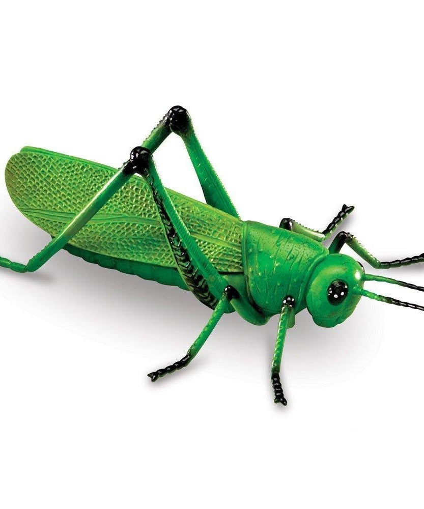 مجموعة ألعاب الحشرات العملاقة من Learning Resources، مكونة من 7 قطع من شخصيات الحشرات الواقعية للأطفال للعب الخيالي والتعلم المبكر