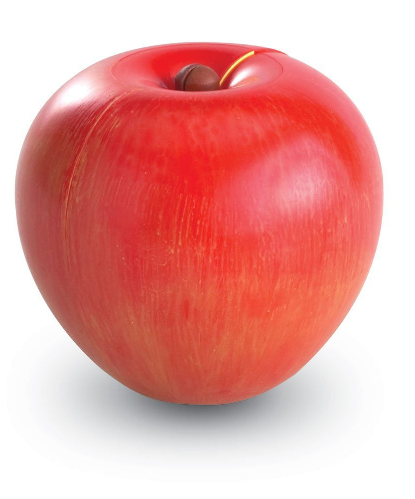 Learning Resources Magnetic Apple Fractions, Hands-On Learning Tool for Teaching Fractions, Equivalencies, and Basic Math Concepts