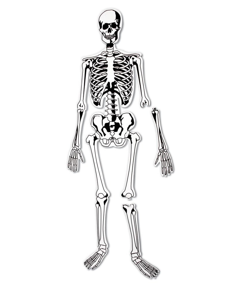 أحجية هيكل عظمي من Learning Resources، لعبة تعليمية لجسم الإنسان بطول 122 سم للأطفال، 15 قطعة من الإسفنج الناعم مع أسماء العظام على الوجه الآخر، أحجية تشريح تعليمية للأطفال في المراحل المبكرة