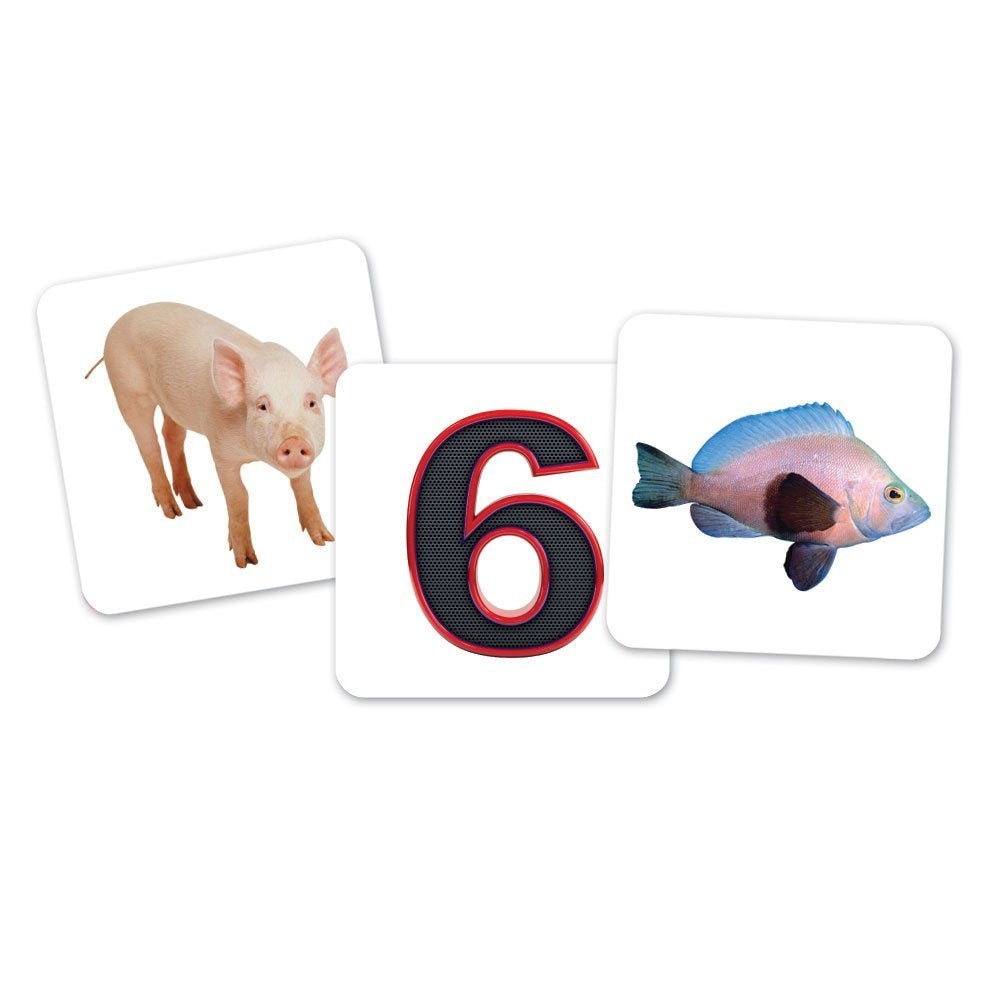 مجموعة فرز حروف العلة على شكل بومة من Learning Resources، نشاط تعليمي عملي للأطفال مع 100 بطاقة صور و6 حاويات بومة، تُعلّم أصوات حروف العلة القصيرة والطويلة، للأعمار من 5 سنوات فما فوق