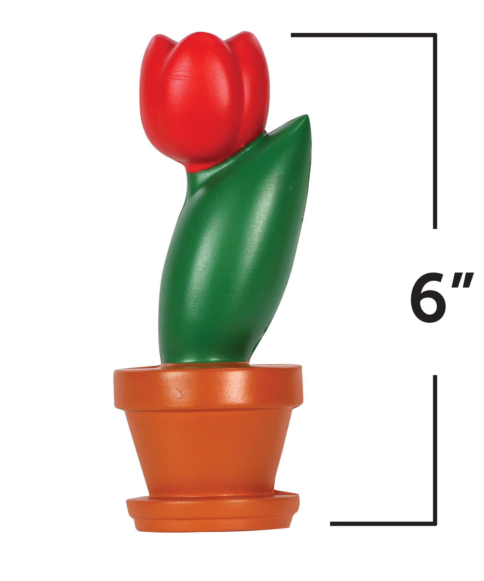 Learning Resources Cross-Section Flower Model, 2-Piece Foam Science Model for Classroom Demonstration, Teaches Parts of a Flower, Includes Activity Guide, Ages 7+